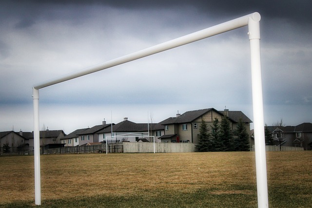 美国春晚 美国春晚