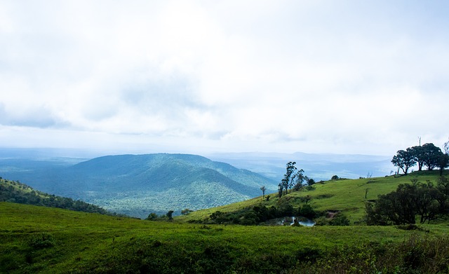 小基恩从小 小基恩从小